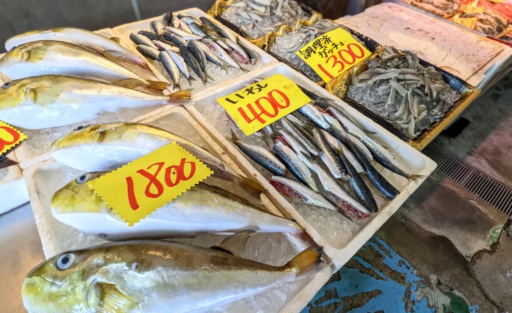 🐟 이즈미사노 어협 청공 시장(이즈미사노교쿄 아오조라 이치바)